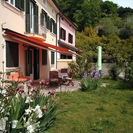 Alle rose barcolane-3