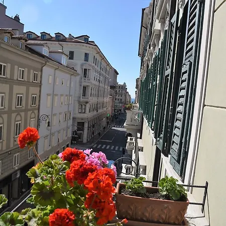 B&B Petra-2